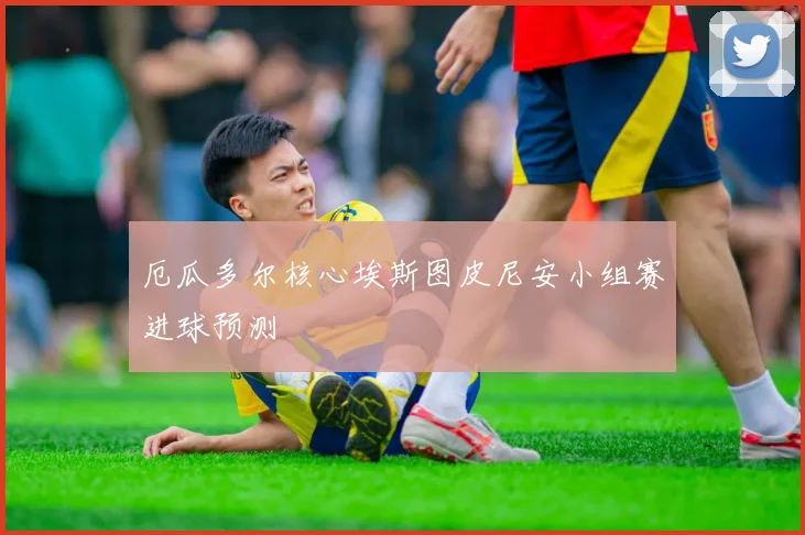 厄瓜多尔核心埃斯图皮尼安小组赛进球预测