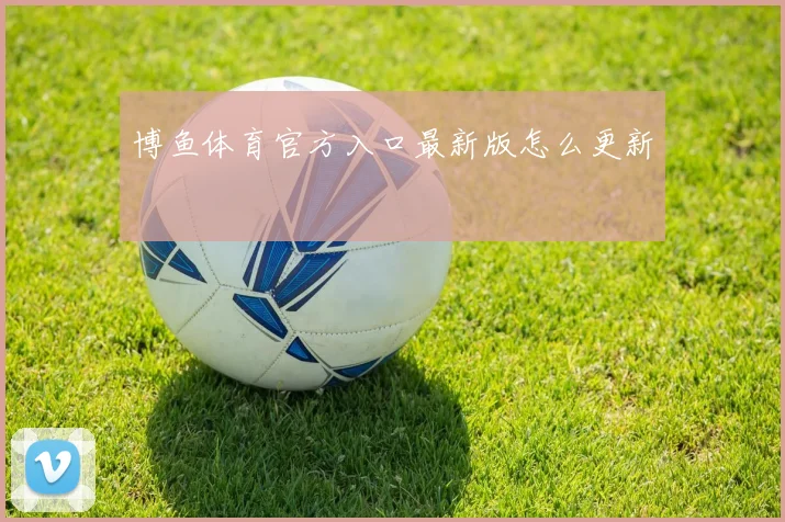 博鱼体育官方入口最新版怎么更新