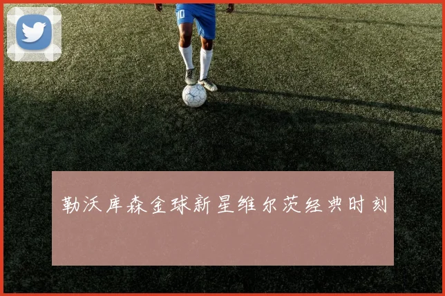 勒沃库森金球新星维尔茨经典时刻
