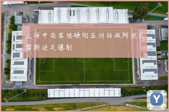 上海申花客场硬刚亚洲劲旅阿尔瓦雷斯逆足爆射