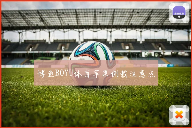 博鱼BOYU体育苹果侧载注意点