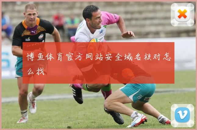 博鱼体育官方网站安全域名核对怎么找