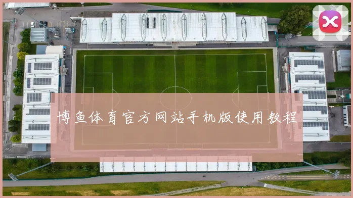 博鱼体育官方网站手机版使用教程