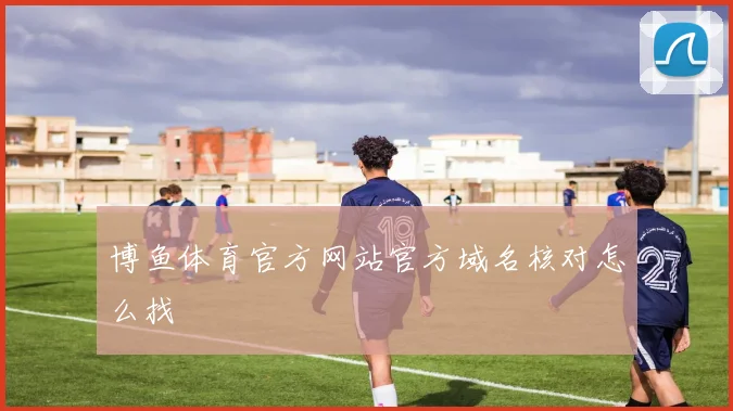 博鱼体育官方网站官方域名核对怎么找